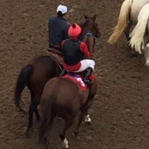 Meet your Posher, Ronald